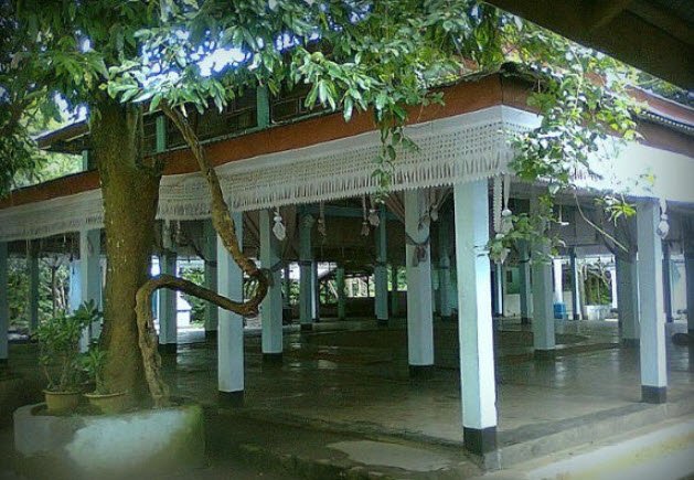 Sacred Jackfruit Tree, Thoubal, Manipur - Vushii.com Sacred Jackfruit Tree, Thoubal, Manipur - Vushii.com